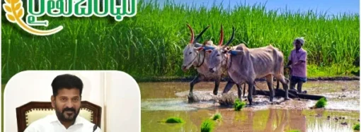 రైతులకు రేవంత్ సర్కార్ సంక్రాంతి కానుక – నేరుగా ఖాతాల్లో జమ..!!